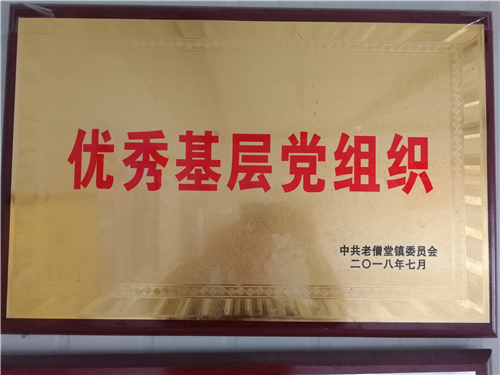 榮譽資質