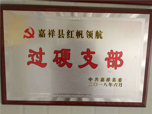 榮譽資質
