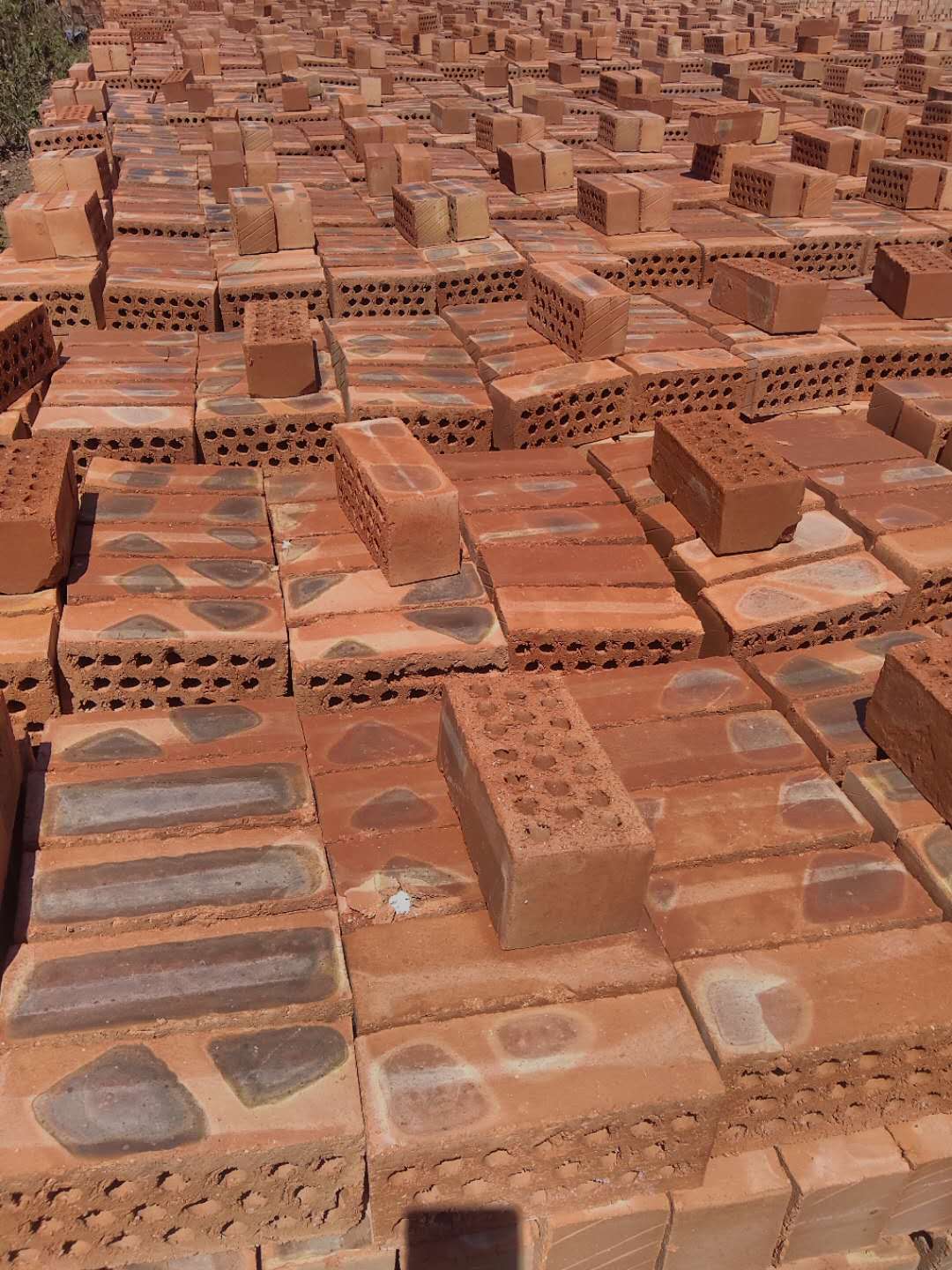 煤矸石燒結多孔磚圖片大全